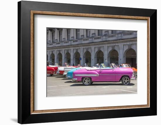 Havana, Cuba. Colorful classic 1950's cars on display.-Bill Bachmann-Framed Photographic Print