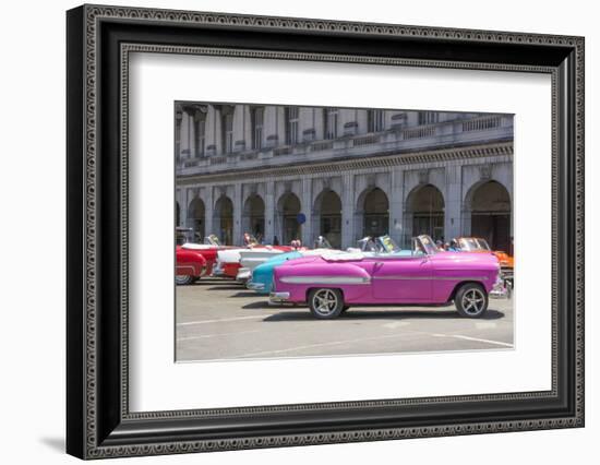 Havana, Cuba. Colorful classic 1950's cars on display.-Bill Bachmann-Framed Photographic Print