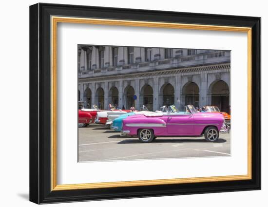 Havana, Cuba. Colorful classic 1950's cars on display.-Bill Bachmann-Framed Photographic Print