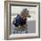 Havana, Cuba. Dog dressed-up-Marilyn Parver-Framed Photographic Print