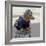 Havana, Cuba. Dog dressed-up-Marilyn Parver-Framed Photographic Print