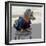 Havana, Cuba. Dog dressed-up-Marilyn Parver-Framed Photographic Print