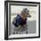 Havana, Cuba. Dog dressed-up-Marilyn Parver-Framed Photographic Print