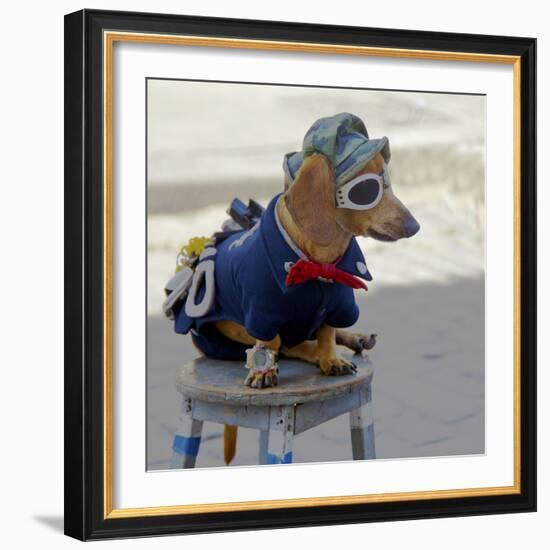 Havana, Cuba. Dog dressed-up-Marilyn Parver-Framed Photographic Print