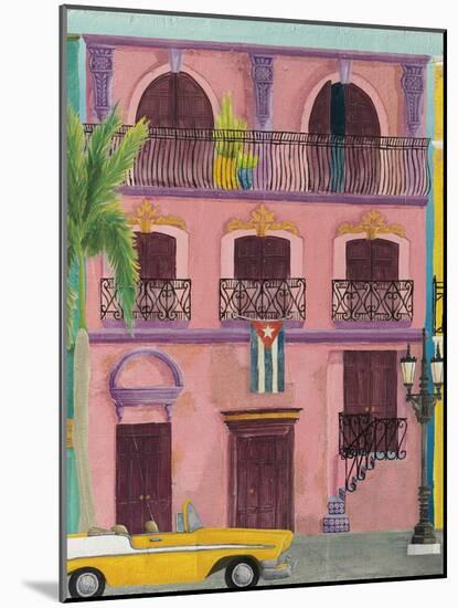 Havana II-Elyse DeNeige-Mounted Art Print
