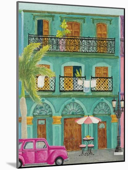 Havana III-Elyse DeNeige-Mounted Art Print