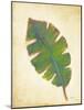 Havana Palm 4-J Charles-Mounted Art Print