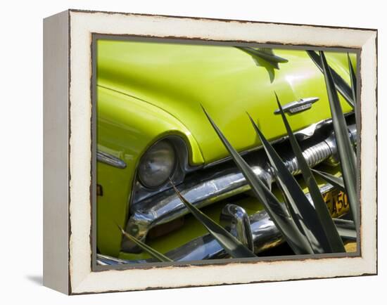 Havana, Vintage American Cars, Havana, Cuba-Paul Harris-Framed Premier Image Canvas
