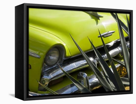 Havana, Vintage American Cars, Havana, Cuba-Paul Harris-Framed Premier Image Canvas