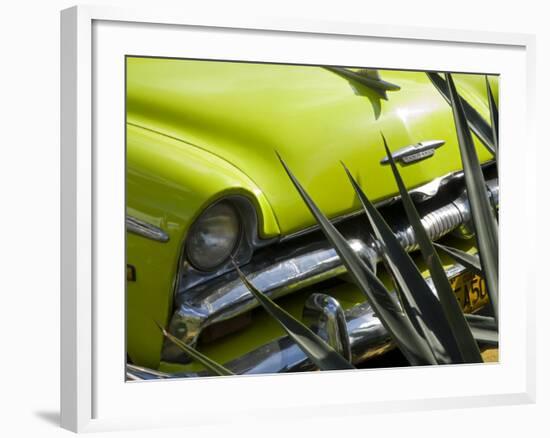 Havana, Vintage American Cars, Havana, Cuba-Paul Harris-Framed Photographic Print