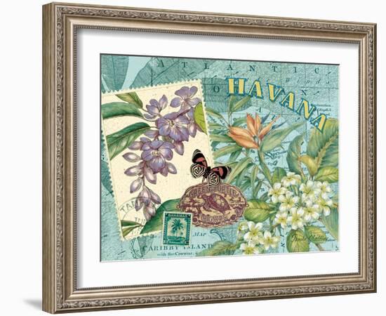 Havana-Pamela Gladding-Framed Art Print