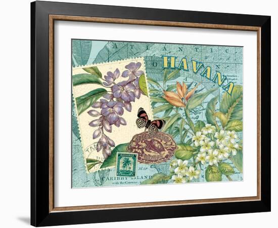 Havana-Pamela Gladding-Framed Art Print