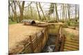 Premium Photographic Print