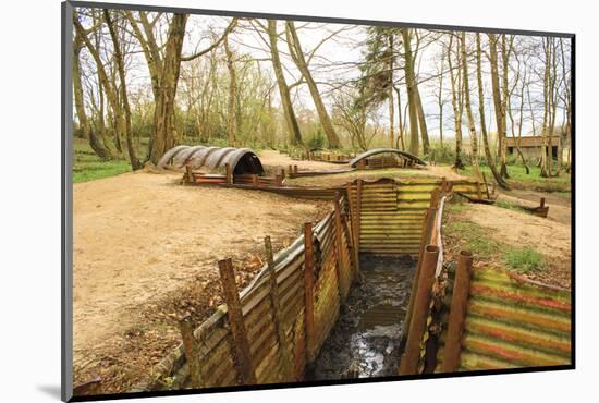 Photographic Print, , large