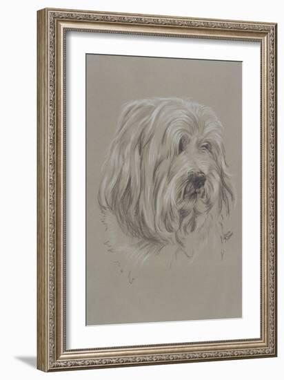 Havanese-Barbara Keith-Framed Giclee Print