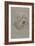 Havanese-Barbara Keith-Framed Giclee Print