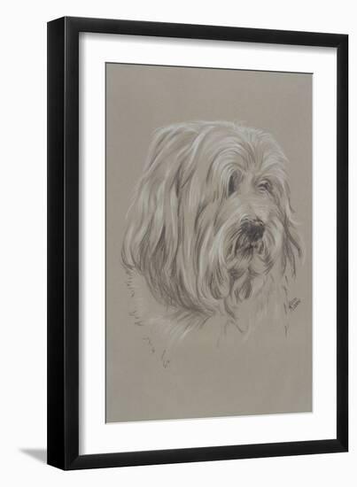 Havanese-Barbara Keith-Framed Giclee Print