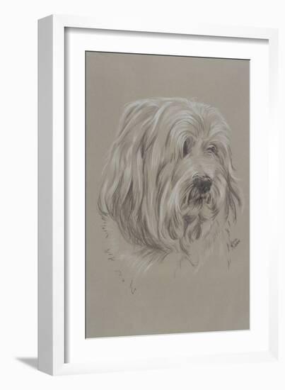 Havanese-Barbara Keith-Framed Giclee Print