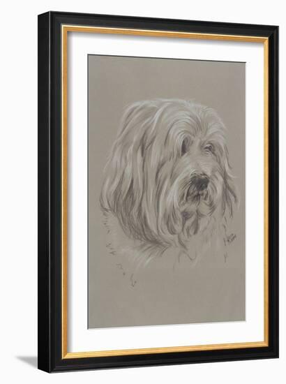 Havanese-Barbara Keith-Framed Giclee Print