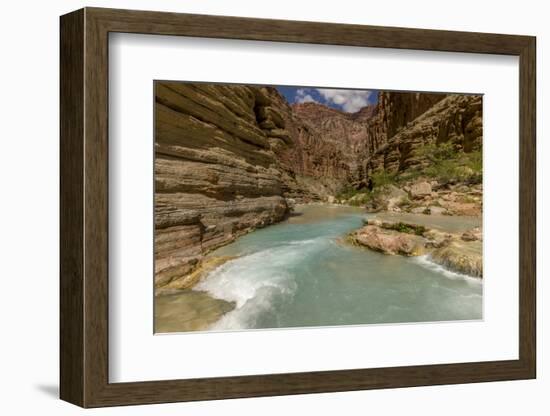 Havasu Creek. Mineral Colored Water. Grand Canyon. Arizona. USA-Tom Norring-Framed Photographic Print