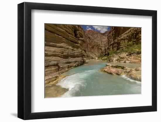 Havasu Creek. Mineral Colored Water. Grand Canyon. Arizona. USA-Tom Norring-Framed Photographic Print