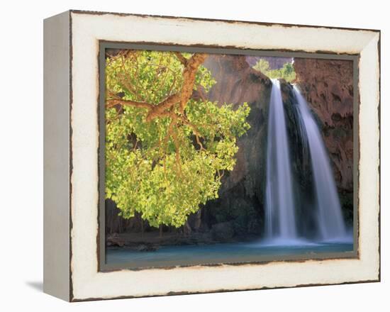 Havasu Falls-Ron Watts-Framed Premier Image Canvas