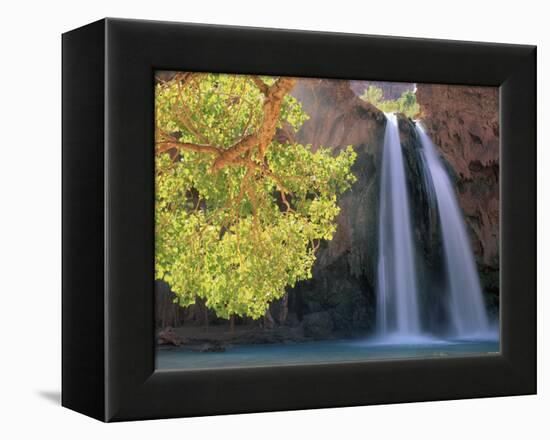 Havasu Falls-Ron Watts-Framed Premier Image Canvas