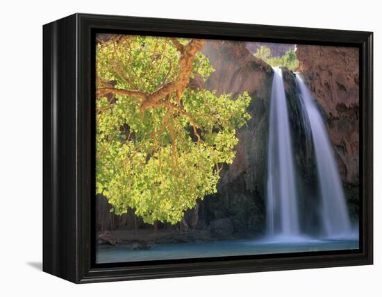 Havasu Falls-Ron Watts-Framed Premier Image Canvas