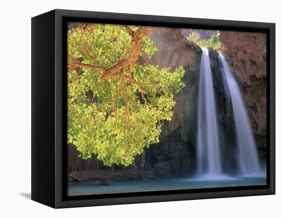 Havasu Falls-Ron Watts-Framed Premier Image Canvas