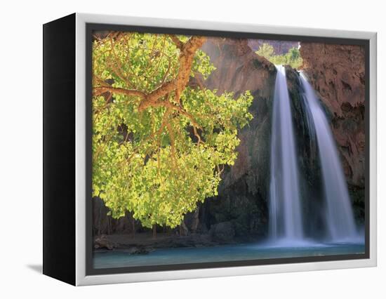 Havasu Falls-Ron Watts-Framed Premier Image Canvas