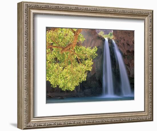 Havasu Falls-Ron Watts-Framed Photographic Print