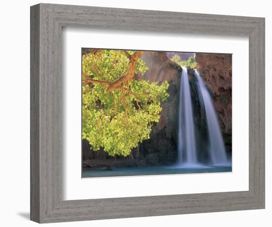 Havasu Falls-Ron Watts-Framed Photographic Print