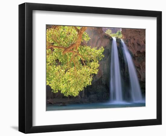 Havasu Falls-Ron Watts-Framed Photographic Print