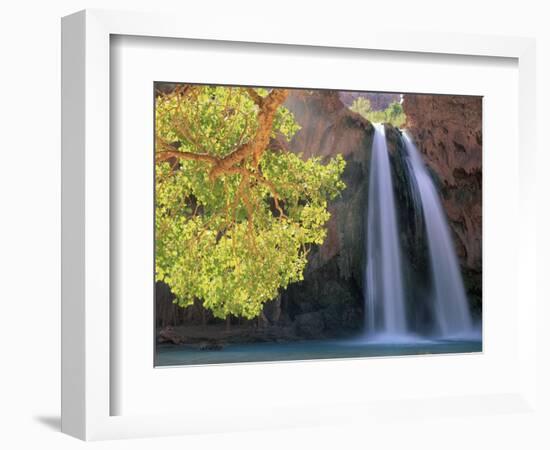 Havasu Falls-Ron Watts-Framed Photographic Print