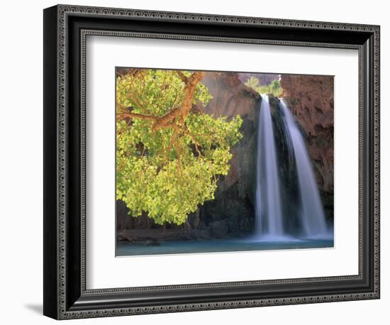 Havasu Falls-Ron Watts-Framed Photographic Print