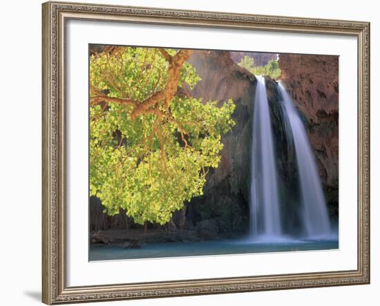 Havasu Falls-Ron Watts-Framed Photographic Print