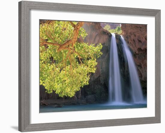 Havasu Falls-Ron Watts-Framed Photographic Print