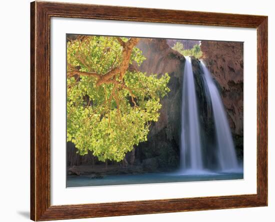 Havasu Falls-Ron Watts-Framed Photographic Print