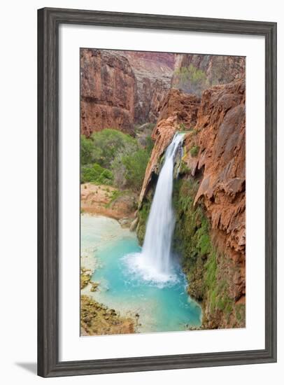 Havasu Waterfall on the Havasupai Reservation in Arizona, USA-Chuck Haney-Framed Photographic Print