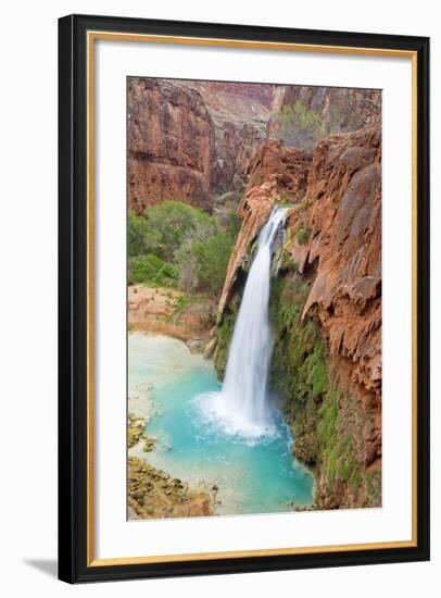 Havasu Waterfall on the Havasupai Reservation in Arizona, USA-Chuck Haney-Framed Photographic Print