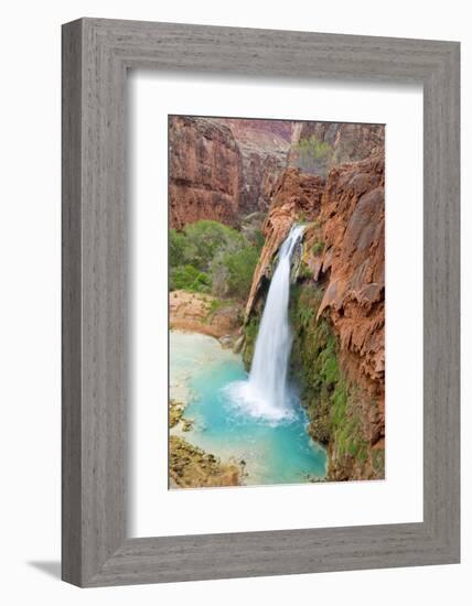 Havasu Waterfall on the Havasupai Reservation in Arizona, USA-Chuck Haney-Framed Photographic Print