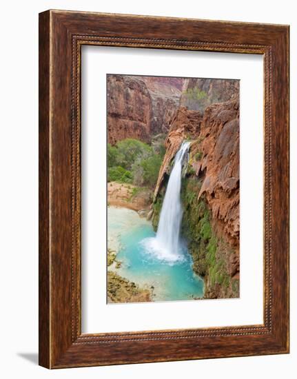 Havasu Waterfall on the Havasupai Reservation in Arizona, USA-Chuck Haney-Framed Photographic Print