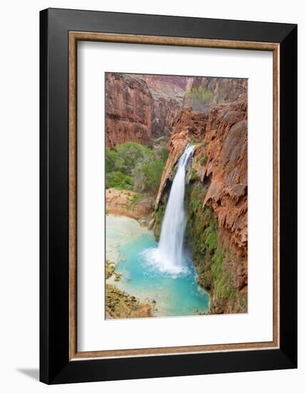 Havasu Waterfall on the Havasupai Reservation in Arizona, USA-Chuck Haney-Framed Photographic Print