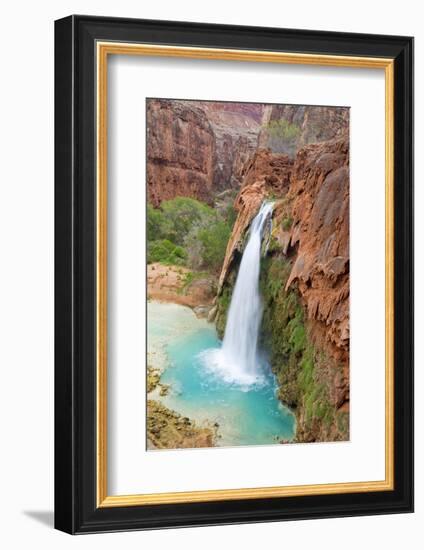 Havasu Waterfall on the Havasupai Reservation in Arizona, USA-Chuck Haney-Framed Photographic Print