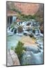 Havasu Waterfall on the Havasupai Reservation in Arizona, USA-Chuck Haney-Mounted Photographic Print