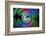 Have a colorful weekend-Heidi Westum-Framed Photographic Print