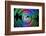 Have a colorful weekend-Heidi Westum-Framed Photographic Print