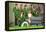 Have a Rockin St. Patricks Day, School Rock Band-null-Framed Stretched Canvas