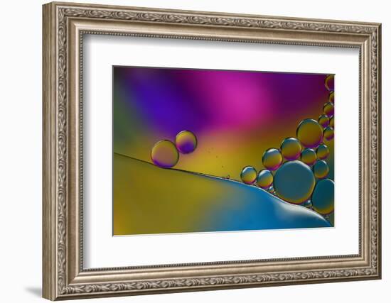 Have The Flue-Heidi Westum-Framed Photographic Print