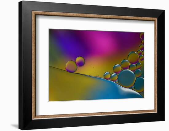 Have The Flue-Heidi Westum-Framed Photographic Print